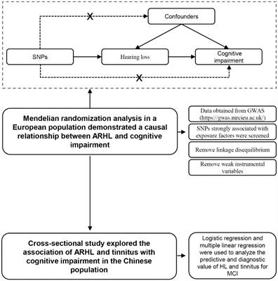 Correlation between hearing loss and mild cognitive impairment in the elderly population: Mendelian randomization and cross-sectional study